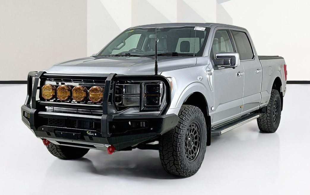 Silver Ford F-150 with bull bar, side view